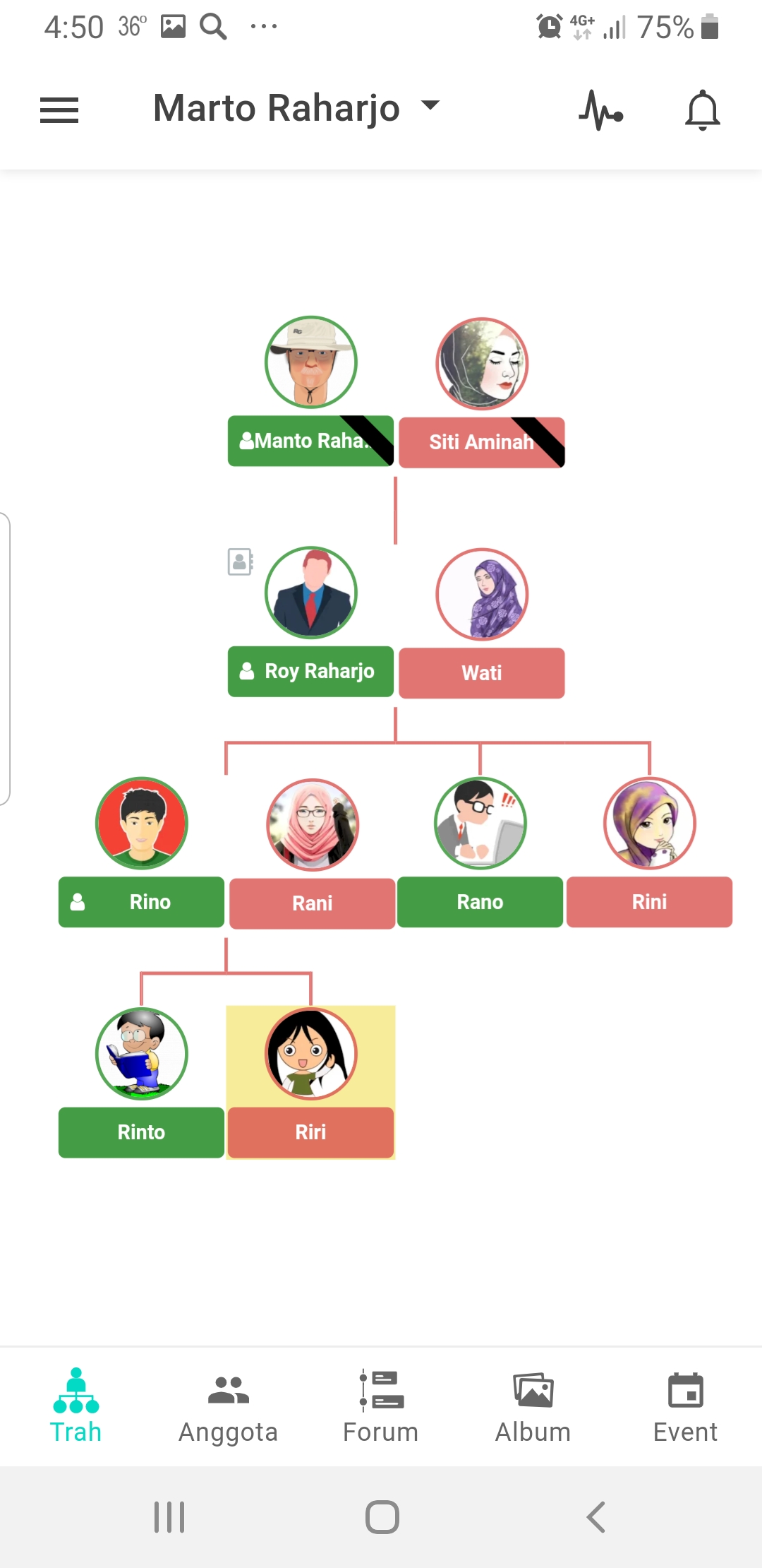 Screen preview